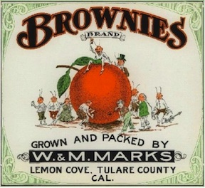 Brownies